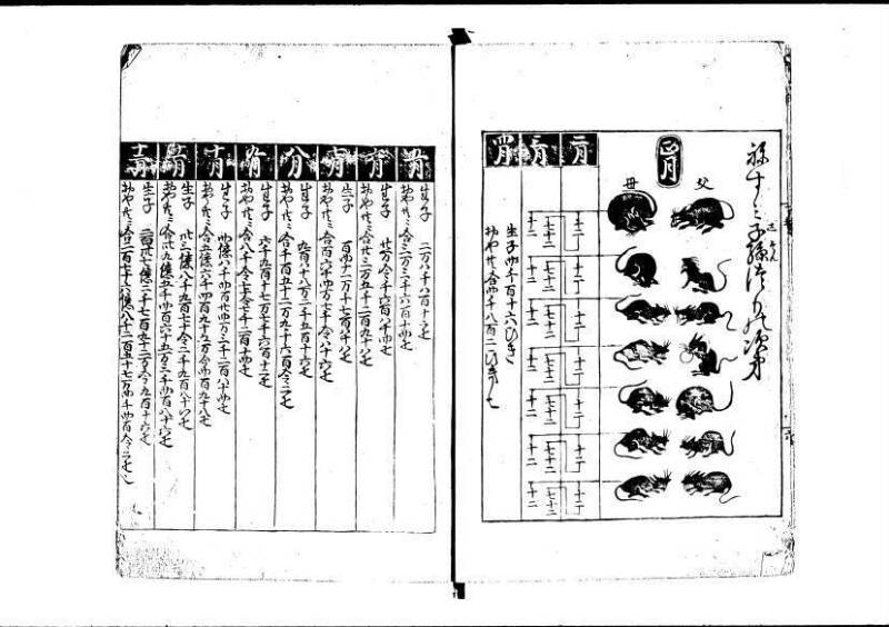 塵劫記（寛永11年跋、林文庫0547） - ページ 63