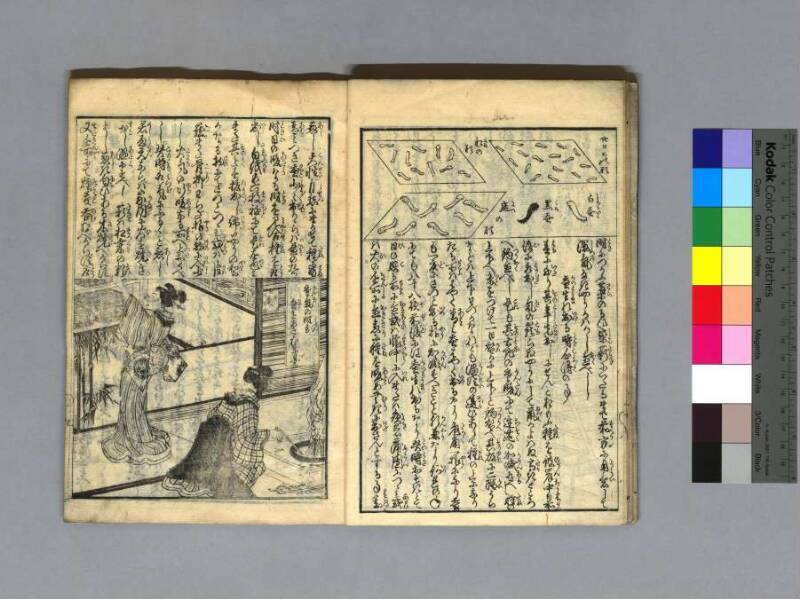 養蠶圖解 - ページ 12