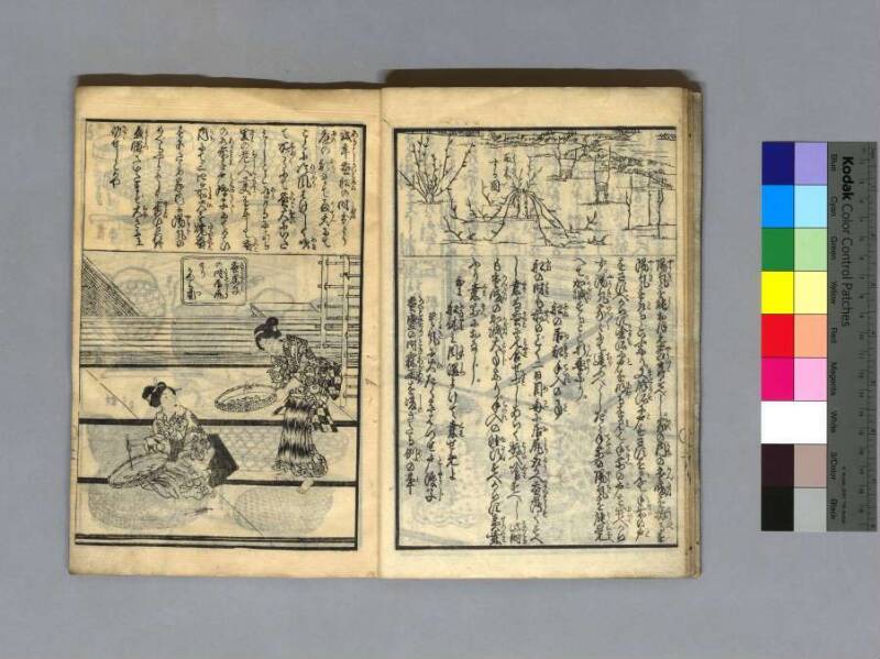 養蠶圖解 - ページ 14