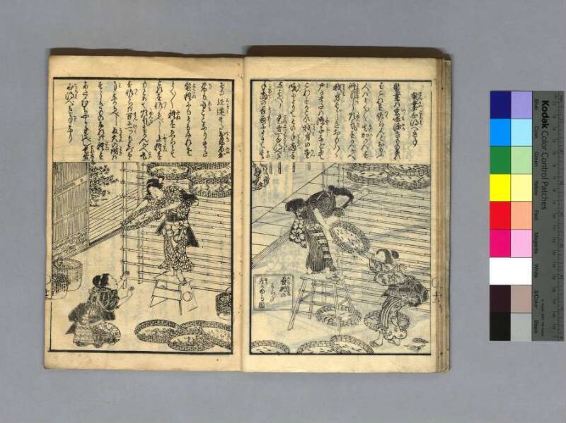 養蠶圖解 - ページ 16