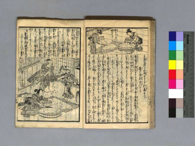 養蠶圖解 - ページ 17