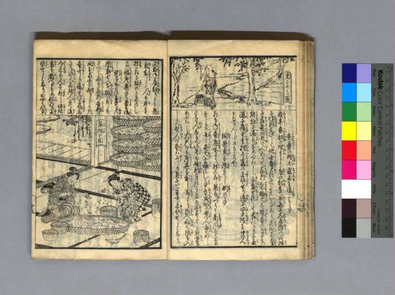 養蠶圖解 - ページ 18