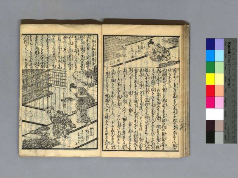 養蠶圖解 - ページ 20