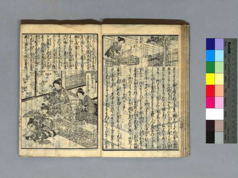 養蠶圖解 - ページ 21