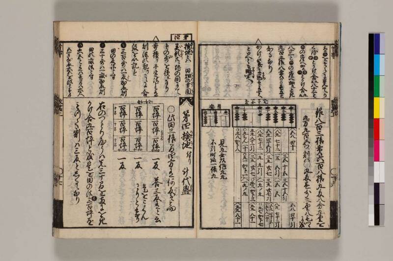 改算記綱目 貞享四 筑波大図コ200‐18 - ページ 20