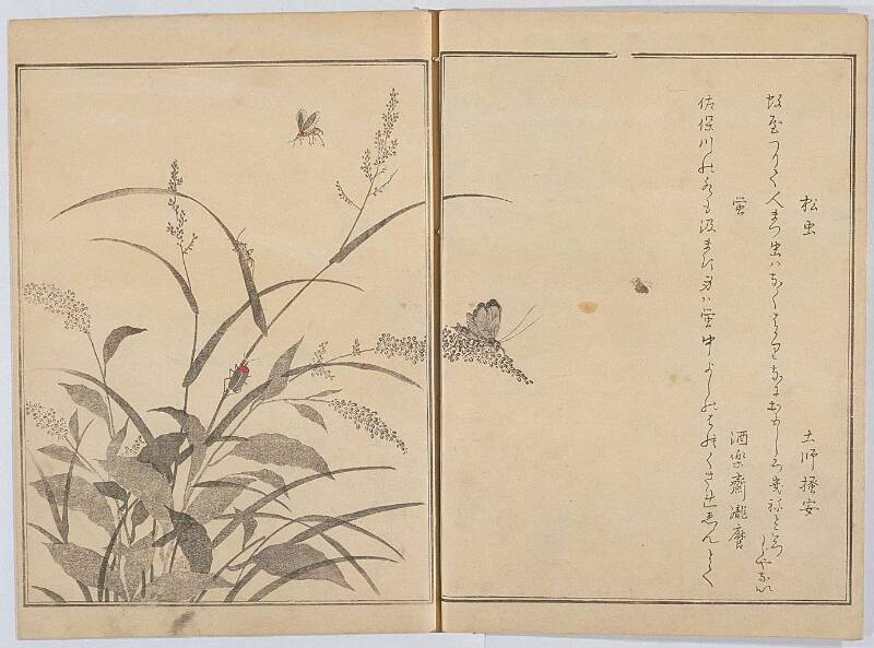 画本虫ゑらみ - ページ 11