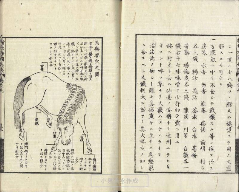 精校／海国兵談 - ページ 226