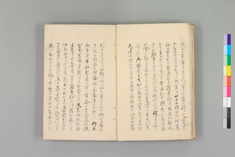 嘉永珍舶録 - ページ 13