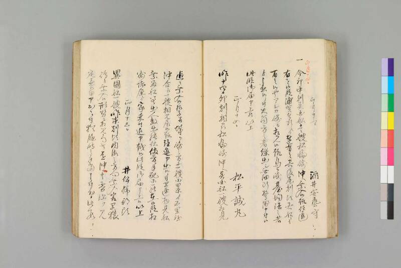 嘉永珍舶録 - ページ 34