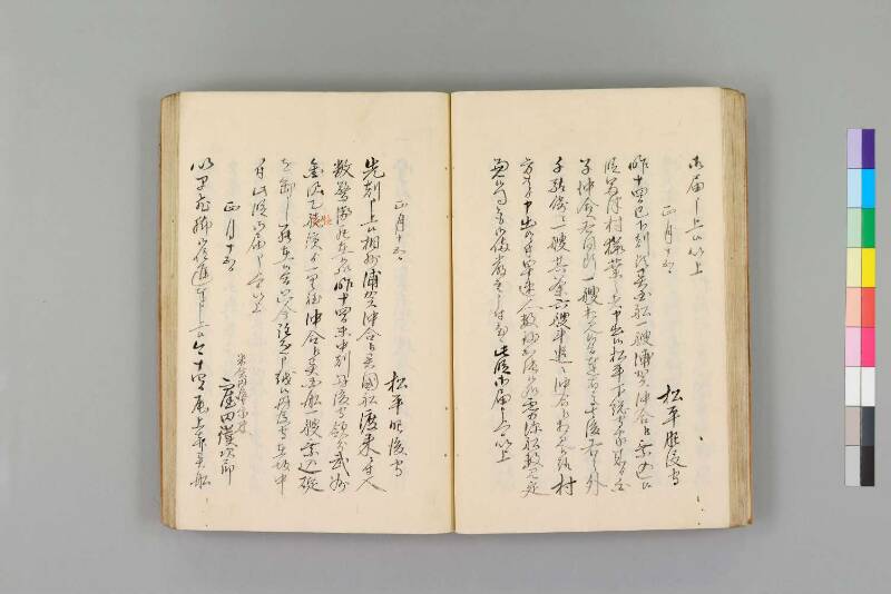 嘉永珍舶録 - ページ 35