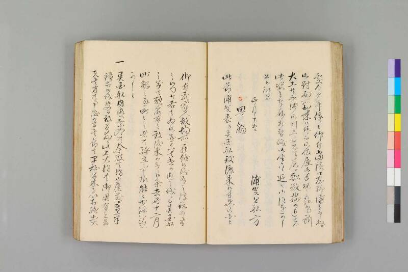 嘉永珍舶録 - ページ 38