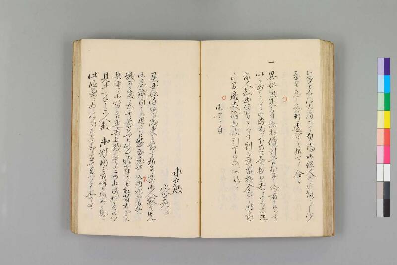 嘉永珍舶録 - ページ 40