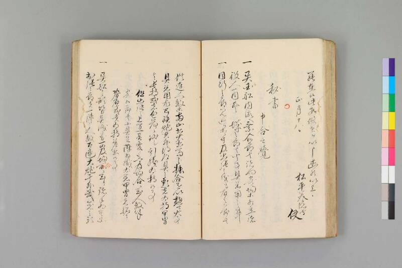 嘉永珍舶録 - ページ 49