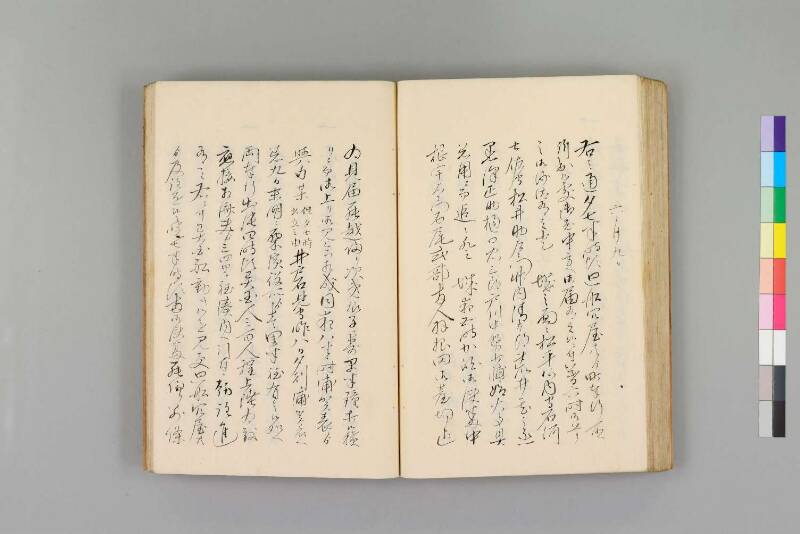 嘉永珍舶録 - ページ 71
