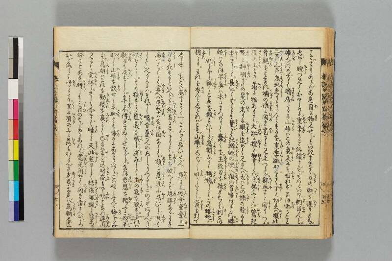 鎭西八郎爲朝外傳椿説弓張月（前編） - ページ 29