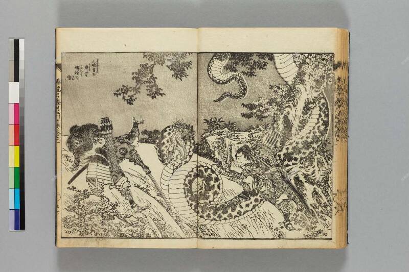 鎭西八郎爲朝外傳椿説弓張月（前編） - ページ 30