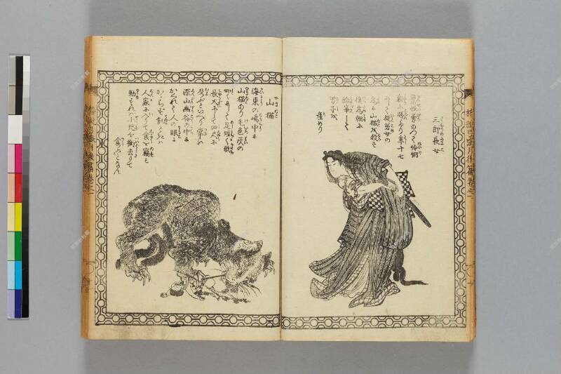 鎭西八郎爲朝外傳椿説弓張月（後編） - ページ 13