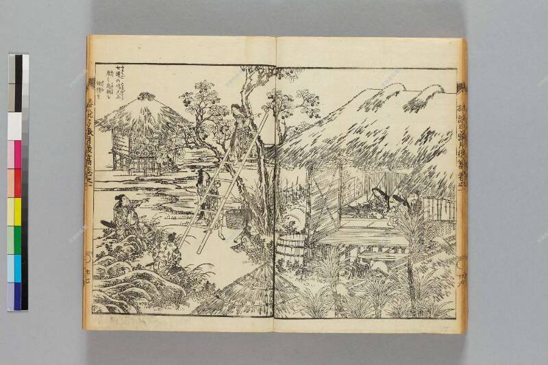 鎭西八郎爲朝外傳椿説弓張月（後編） - ページ 29