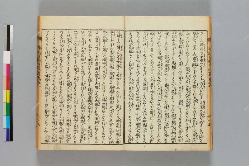 鎭西八郎爲朝外傳椿説弓張月（後編） - ページ 43