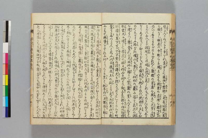 鎭西八郎爲朝外傳椿説弓張月（後編） - ページ 205