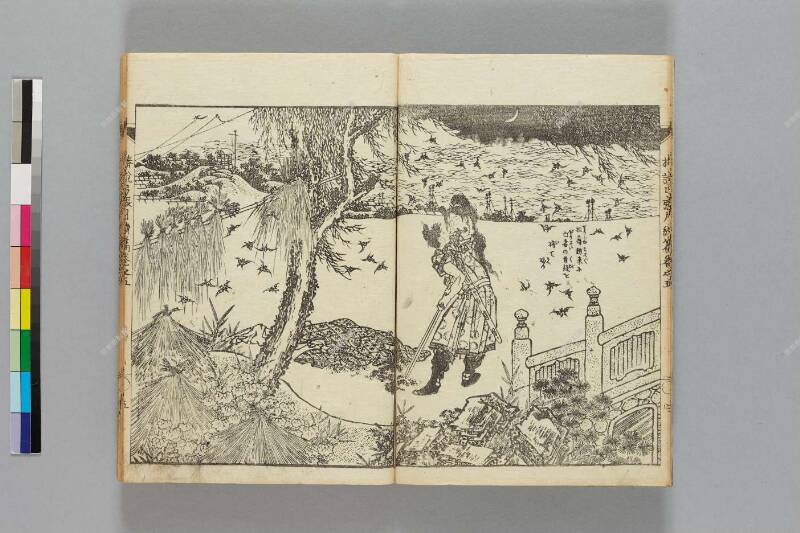 鎭西八郎爲朝外傳椿説弓張月（後編） - ページ 313