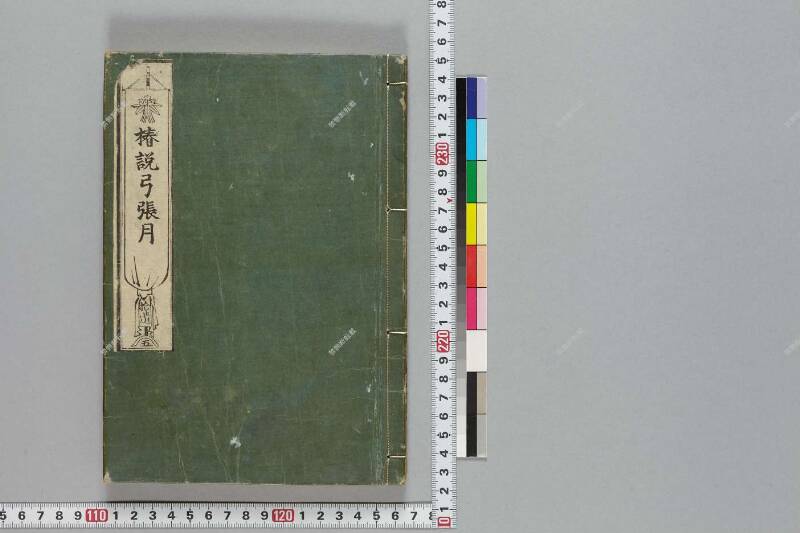 鎭西八郎爲朝外傳椿説弓張月（後編） - ページ 473