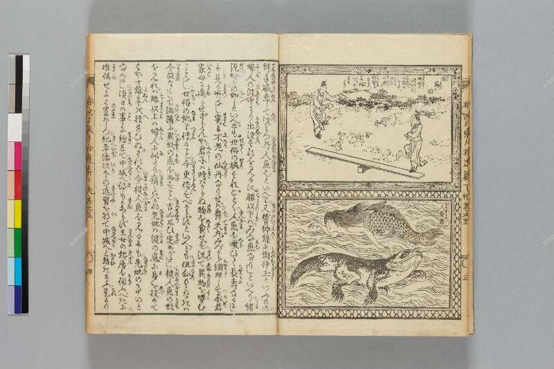 鎭西八郎爲朝外傳椿説弓張月（後編） - ページ 630