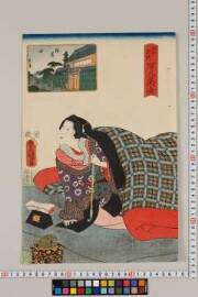 Edomeishohyakuninbijo/negishi