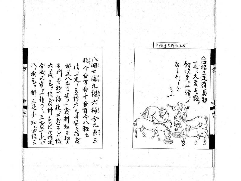 方圓秘見集 写本 大正五 日本学士院/和算/589 - ページ 53