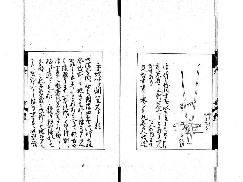 方圓秘見集 写本 大正五 日本学士院/和算/589 - ページ 87