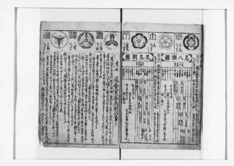 萬寳塵劫記大全 元文三 狩7-19872-1 - ページ 13