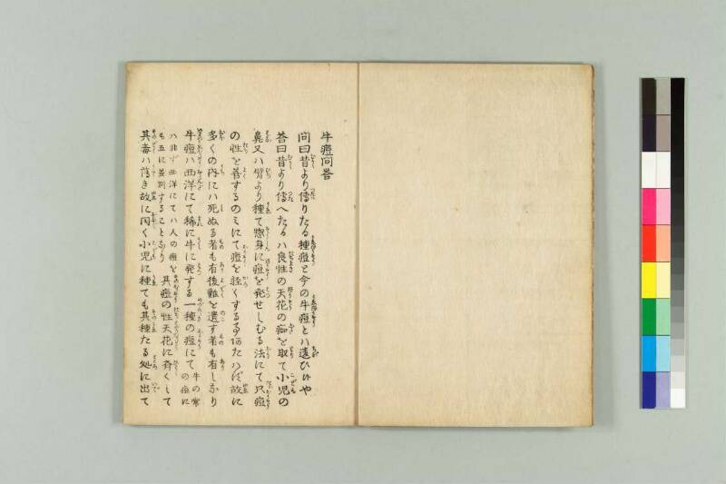 牛痘問答 - ページ 4
