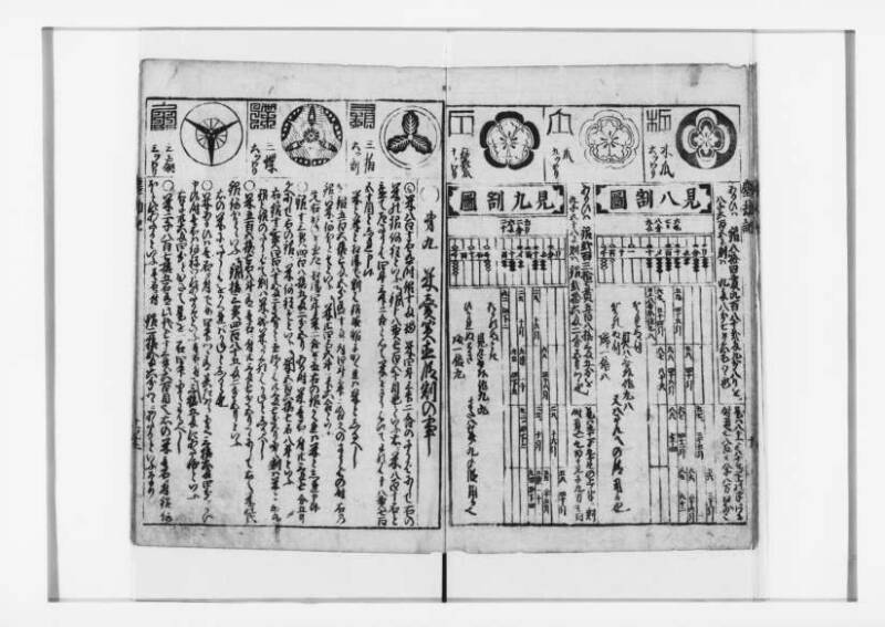 萬寳塵劫記大全 元文三 狩7-31282-1 - ページ 13