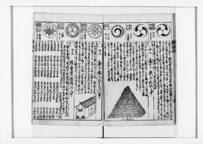 萬寳塵劫記大全 元文三 狩7-31282-1 - ページ 15