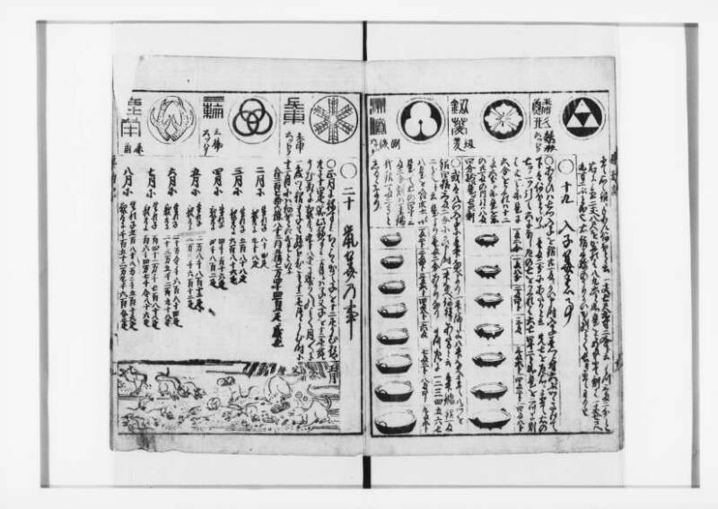 萬寳塵劫記大全 元文三 狩7-31282-1 - ページ 20