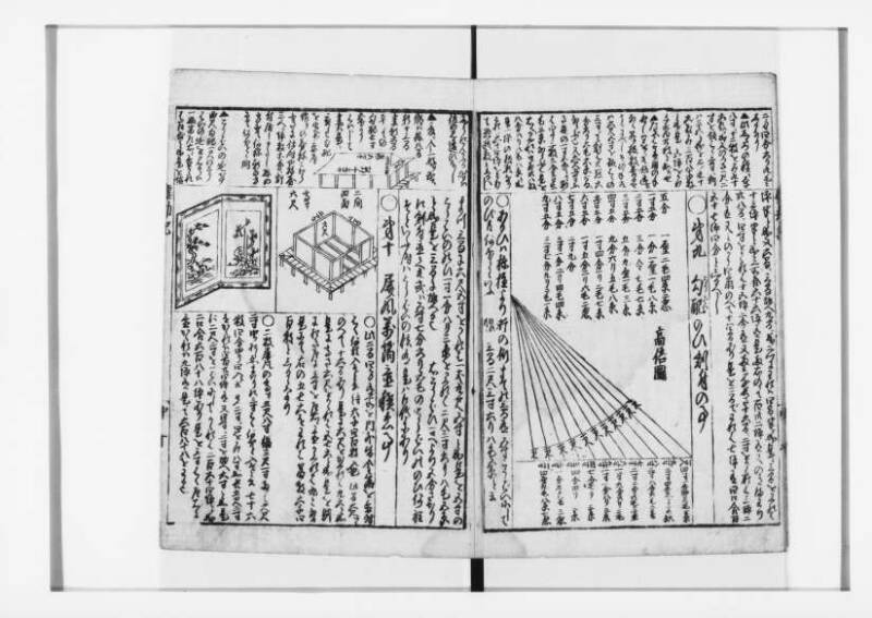 萬寳塵劫記大全 元文三 狩7-31282-1 - ページ 30