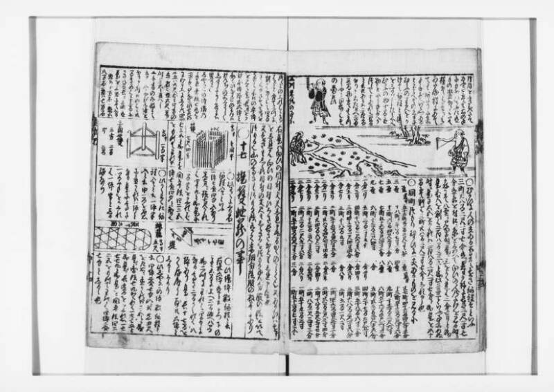 萬寳塵劫記大全 元文三 狩7-31282-1 - ページ 33
