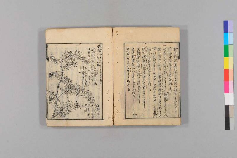 旅行用心集 - ページ 42