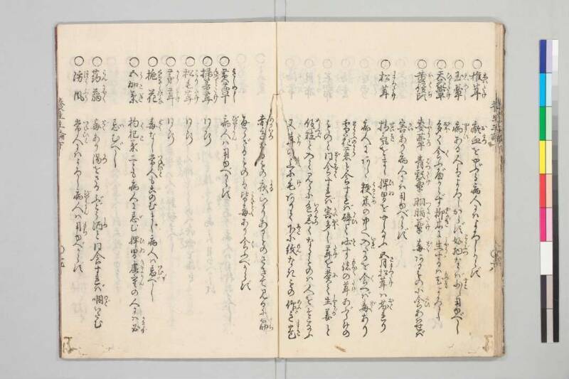 養生主論 - ページ 46