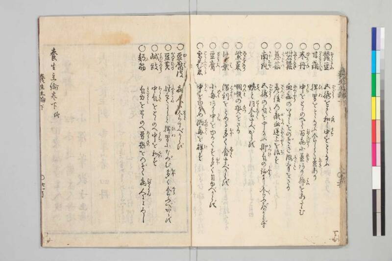 養生主論 - ページ 48