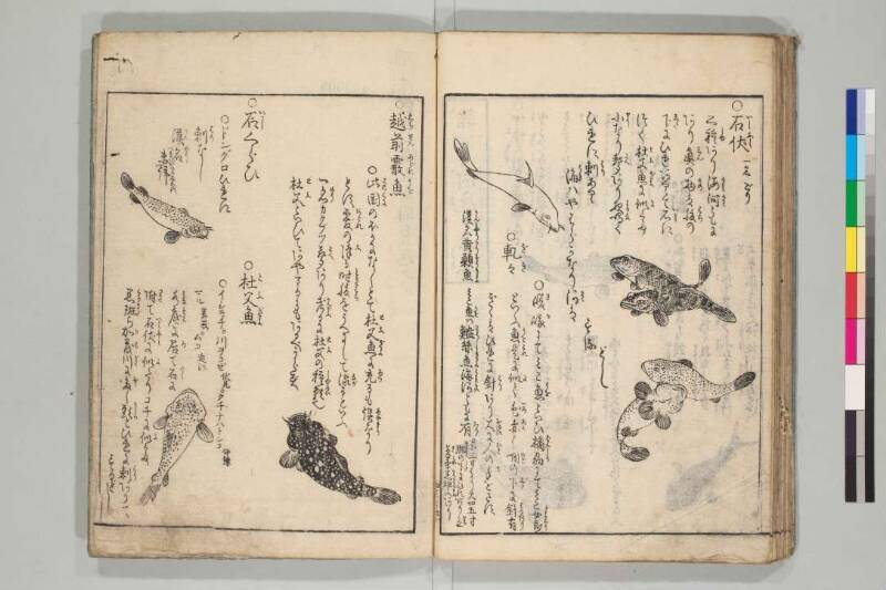日本山海名産図会 - ページ 134