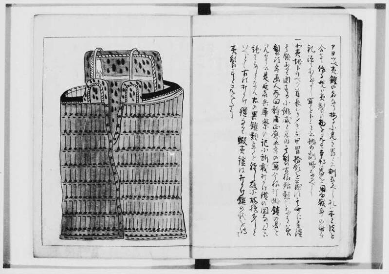  蝦夷奇観（北海道大学附属図書館） - ページ 10
