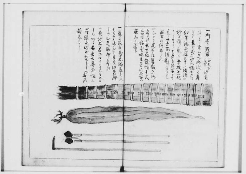  蝦夷奇観（北海道大学附属図書館） - ページ 16
