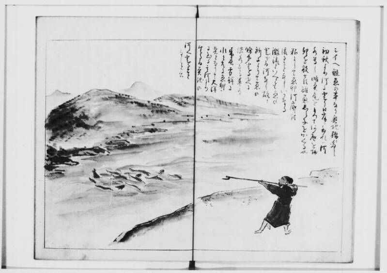  蝦夷奇観（北海道大学附属図書館） - ページ 17