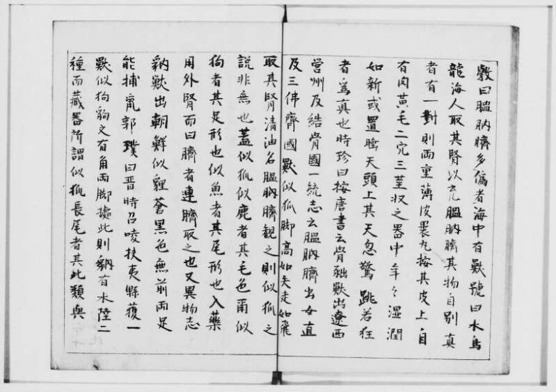  蝦夷奇観（北海道大学附属図書館） - ページ 20