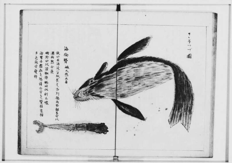  蝦夷奇観（北海道大学附属図書館） - ページ 26