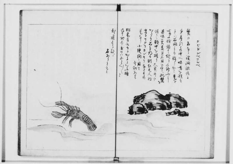  蝦夷奇観（北海道大学附属図書館） - ページ 28