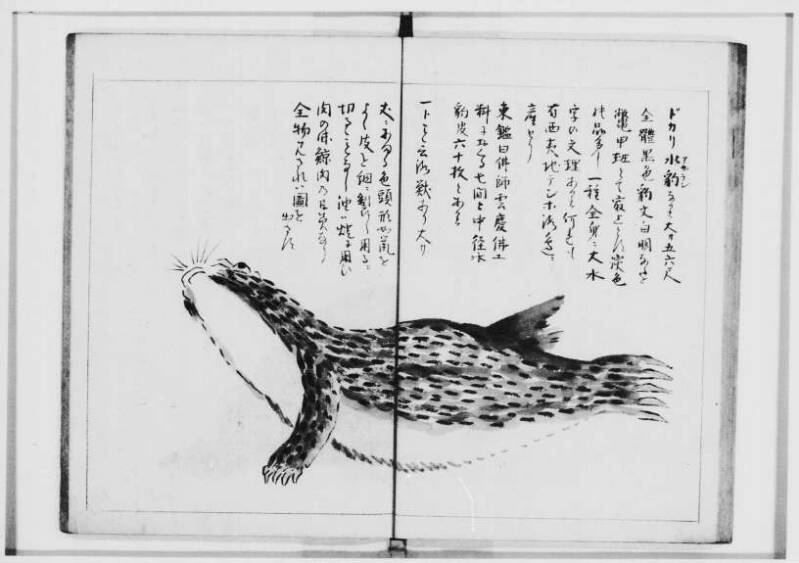  蝦夷奇観（北海道大学附属図書館） - ページ 29
