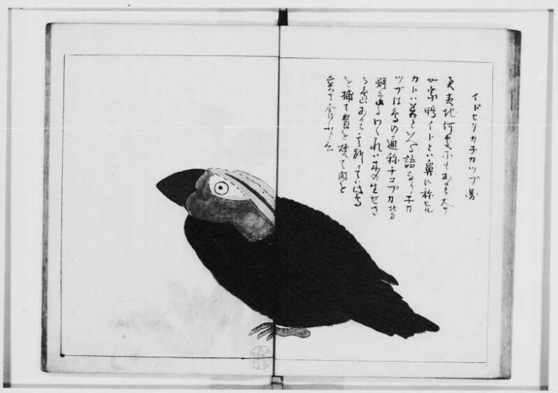  蝦夷奇観（北海道大学附属図書館） - ページ 30