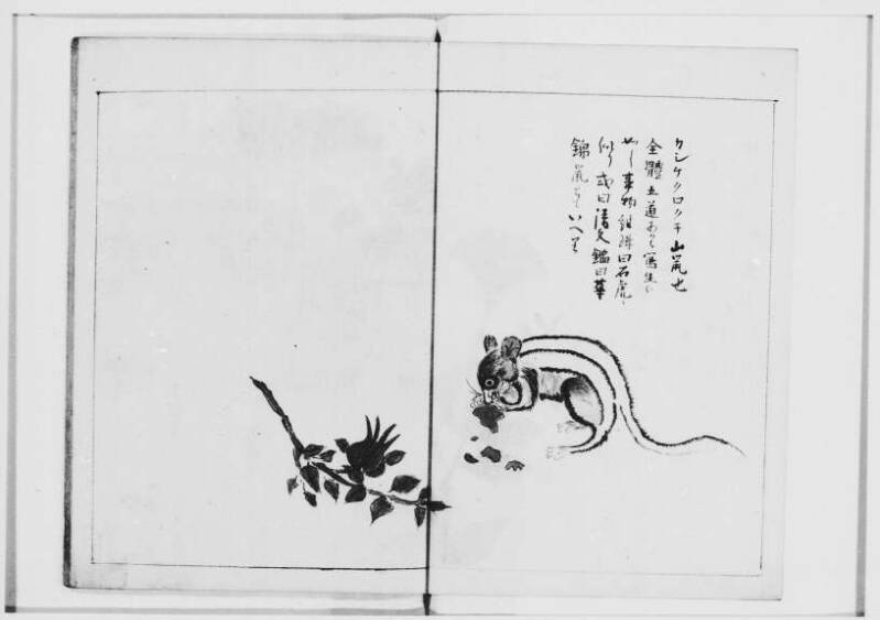  蝦夷奇観（北海道大学附属図書館） - ページ 32